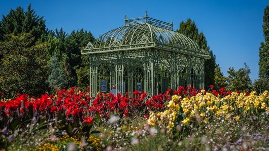 Vorschaubild zur Veranstaltung. Eine genaue Beschreibung finden Sie unter Details.