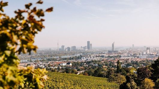 Vorschaubild zur Veranstaltung. Eine genaue Beschreibung finden Sie unter Details.