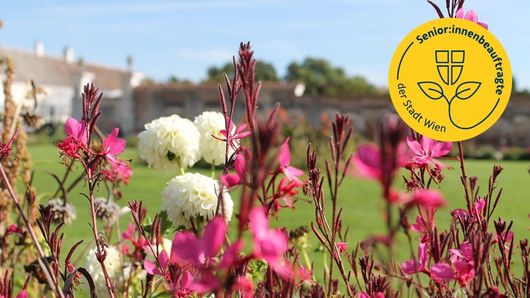 Vorschaubild zur Veranstaltung. Eine genaue Beschreibung finden Sie unter Details.